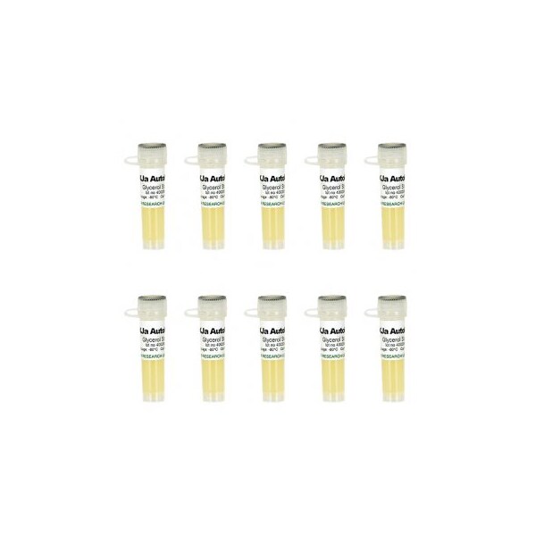 XJa Autolysis, 10x100 µl Mix & Go competent cells and 1ml 500X L-Arabinose